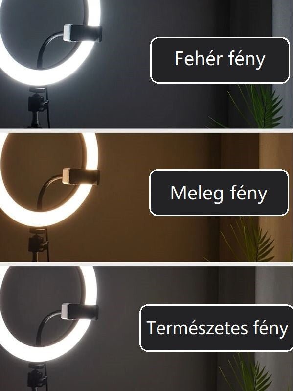 Jeemak PC50 Körfény Állvánnyal - LED Selfie Lámpa Telefon Tartóval - BShopy