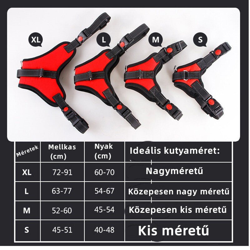 DEKO Fekete Kutyahám - S Méretű, Állítható és Tartós - BShopy