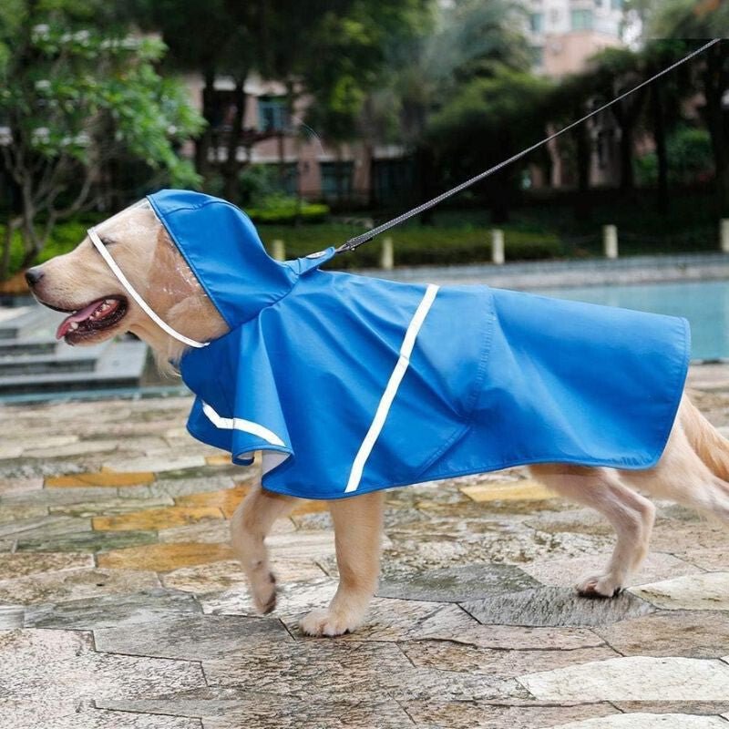 Doglemi XL Méretű Esőkabát, Nagytestű Kutyáknak - Kék - BShopy