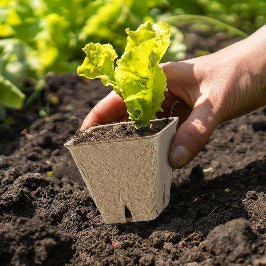 Hahood Szögletes Tőzegcserép Szett, Növényindító Palántaneveléshez 60db 5,8 cm - BShopyX001GU8QQB_0