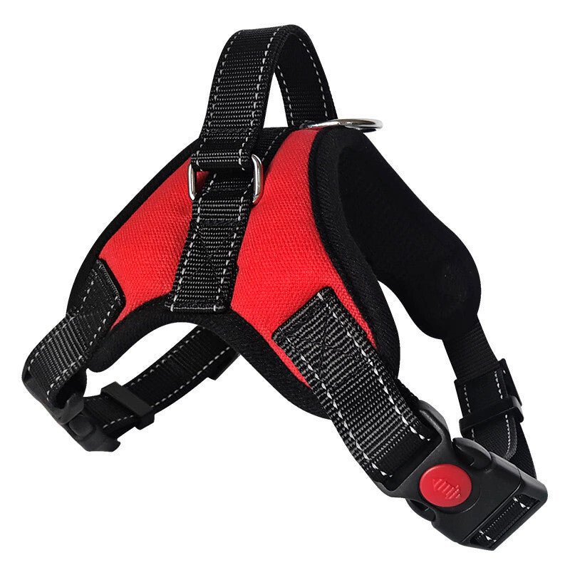 Piros Kutyahám - S - es Méretű, Állítható, Tartós és Kényelmes - BShopy