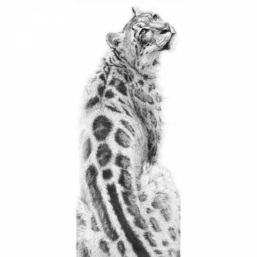 Bshop Diamantový obraz s leopardím vzorom 20 x 50 cm
